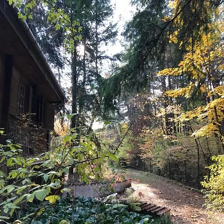 Dom Na Skraju Lasu Stoczek Lukowski Exterior photo