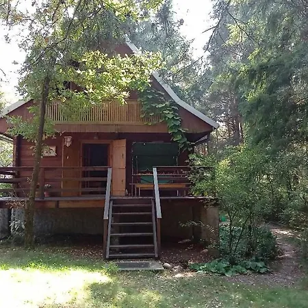 Dom Na Skraju Lasu Stoczek Lukowski Exterior photo