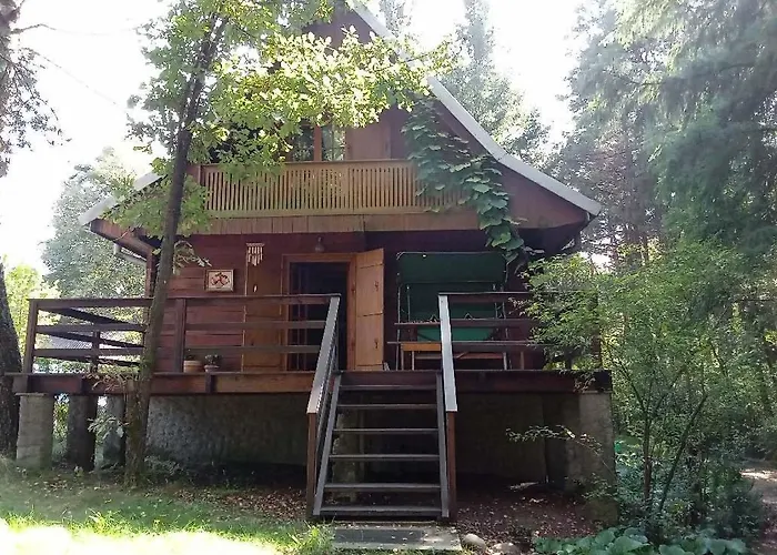Dom Na Skraju Lasu